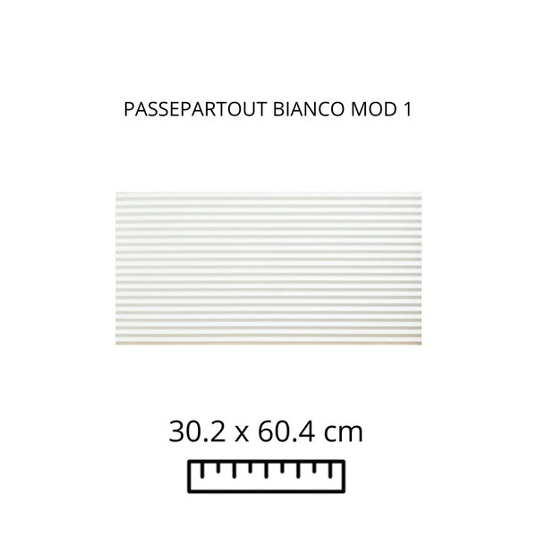 White Passepar 30.2X60.4