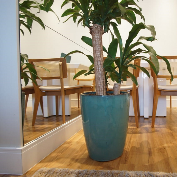 Rodapié 457 Moderna.