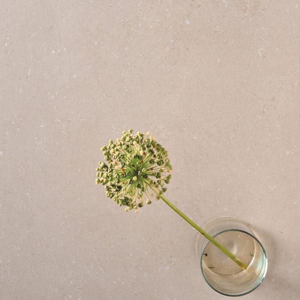 SCB NATURAL 60X120