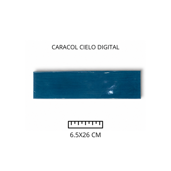 Caracol Cielo Digital 6.5x26