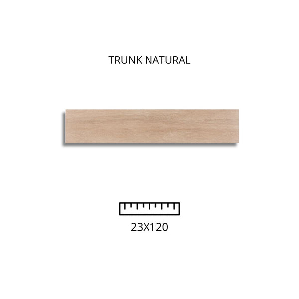 TRUNK NATURAL 23X120