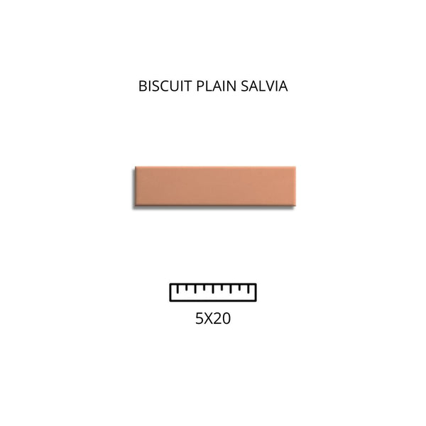 BISCUIT PLAIN TERRA 5X20