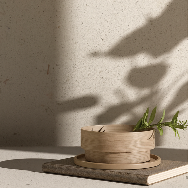 Shell6 200296 120x120