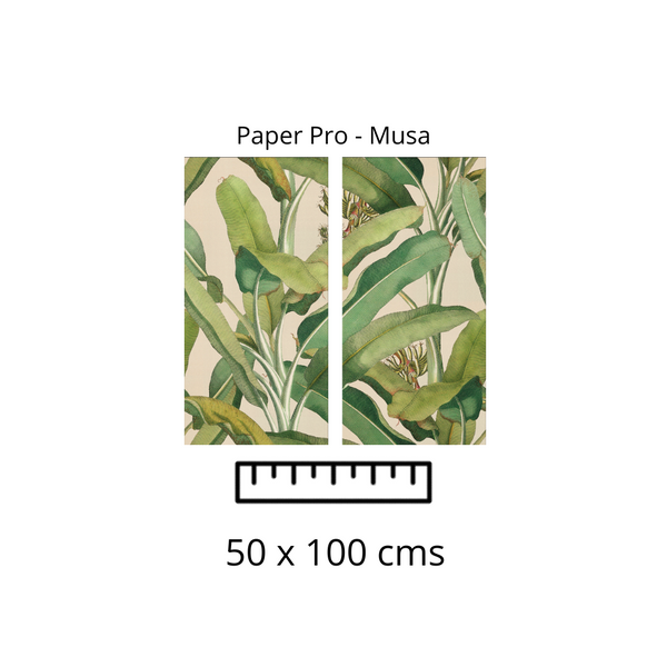 PAPER PRO - MUSA 50X100