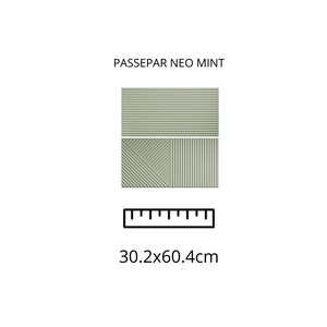 PASSEPARTOUT NEO MINT MOD 2 30.2x60.4