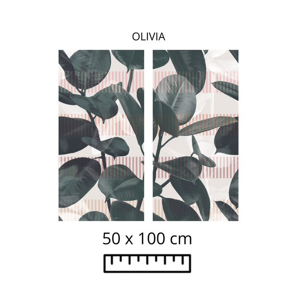 OLIVIA 50X100