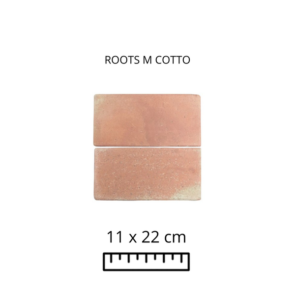 ROOTS M COTTO 11X22