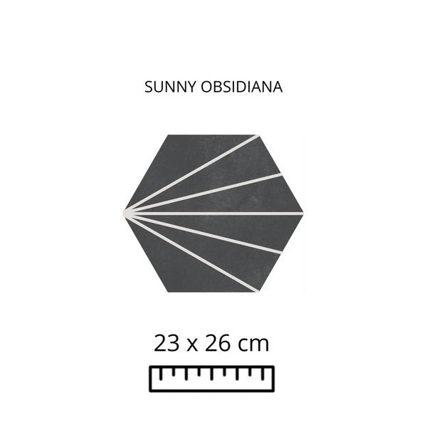 SUNNY OBSIDIANA 23X26