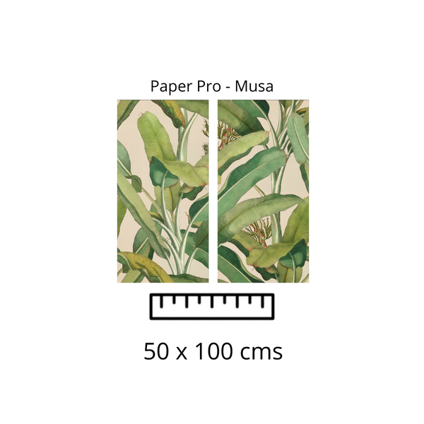 Paper Pro MUSA