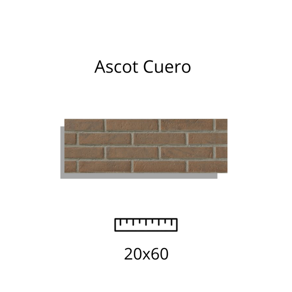 Ascot Cuero 20x60