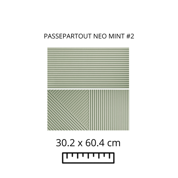 Passepar Neo Mint Mod 2 30.2X60.4