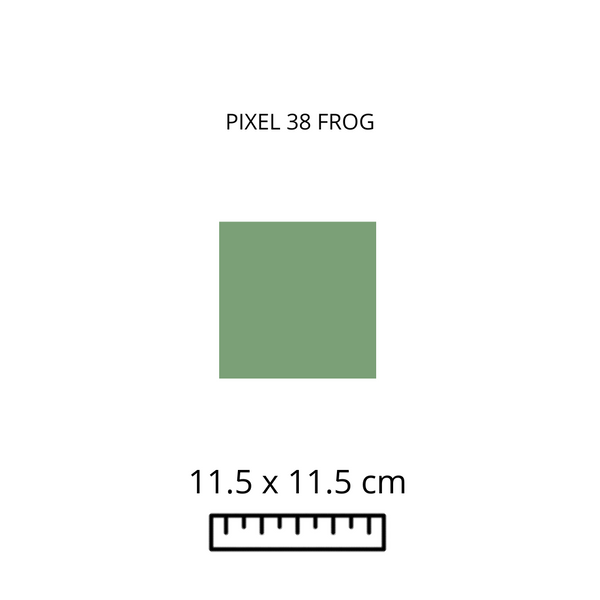 Pixel 38 - Frog 11.5 X 11.5