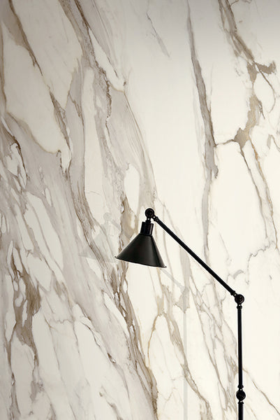 Calacatta Gold 120X278